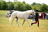 9 Brood Mare