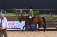 Ridden Championship