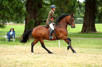Performance Pony Championship
