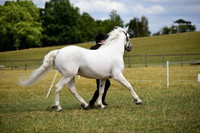 24C Breeding Champs