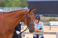 Class 12 In Hand Competition