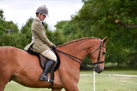 Champs Ring 5 Classes