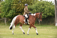 58 Ridden Sport Horse