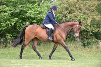56 Riding Horse