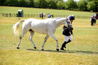 16 Sports Comp Pony PB OH 7yo+