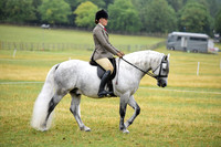 40 Very Novice Ridden Gelding