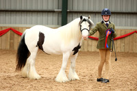 20 Young Handler 11-18