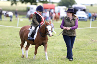 Working Hunter Championship