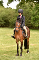 42 Pure Novice Walk Trot