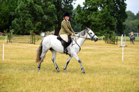 41 Very Novice Ridden Mare