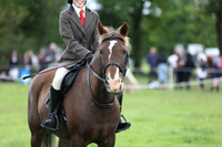 61 Riding Pony