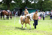 45 Lead Rein Pony