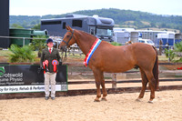In-Hand Championship