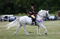 Champs Working Hunter