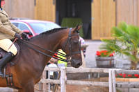 Class 21 Ridden Competition