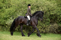 47-48 Riding Club Horse or Pony