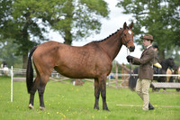 12 Rare & Foreign Breeds