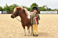 Class 5 - Young Handler