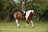 55 Ridden Cob