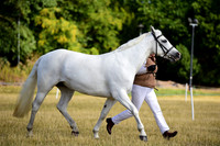14 Sports Comp Pony 7yo+