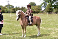 43 Best Ridden First Pony