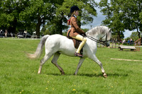16 Junior Ridden