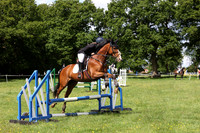 Ring 1 Showjumping & Driving