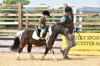 Class 19 - Lead Rein Pony