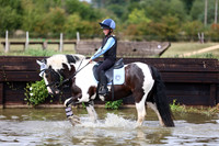 Tally Ho