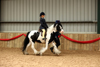 27 Lead Rein