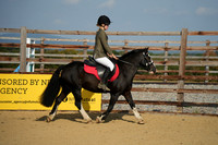 Class 9 - Handsome Gelding