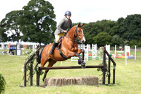 Working Hunter 80cm Jumps