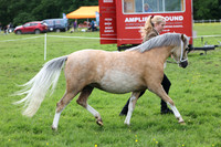 54 Ridden Alternative Coloured