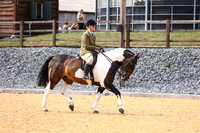 33 HOYS NCT Horse