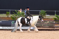 Class 14 Ridden Traditional Cob