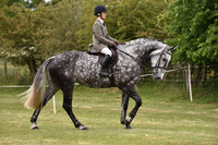 57 Ridden Hunter