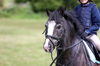 Reins & Royalty