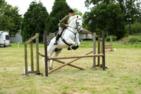 44 Performance Pony 80cm