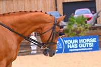 Class 13 Ridden Veteran