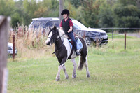 Evie