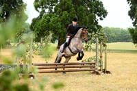 54 Performance Pony 60cm