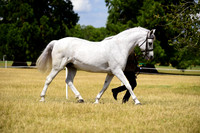 24 TOS Mares