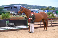 Class 2 In Hand Hunter