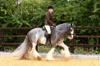 32 HOYS NCT Pony