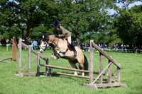 Ring 3 Working Hunter