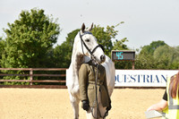 Class 3 - In Hand Competition