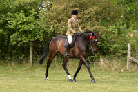 59 Retrained Racehorse