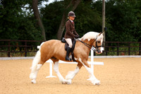1 Novice Ridden