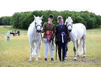 6 Geldings