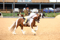 29 HOYS Junior